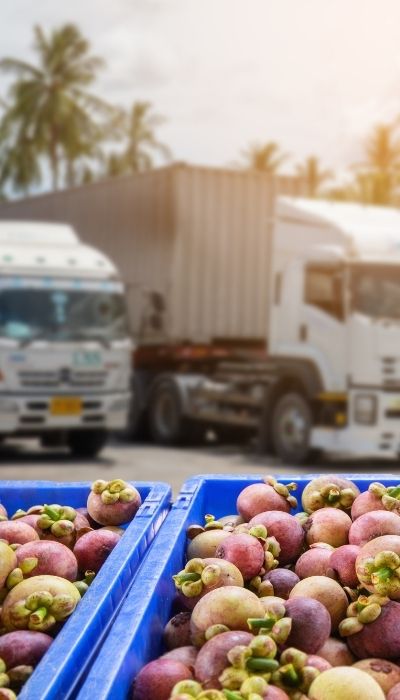 Duran Logistiek - Winkeldistributie 1 DERMI. MORE diensten